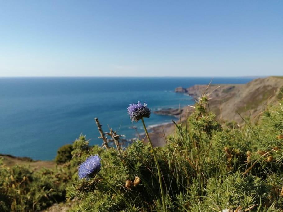 Kiberick Cottage At Crackington Haven, Near Bude And Boscastle, Cornwall Luaran gambar